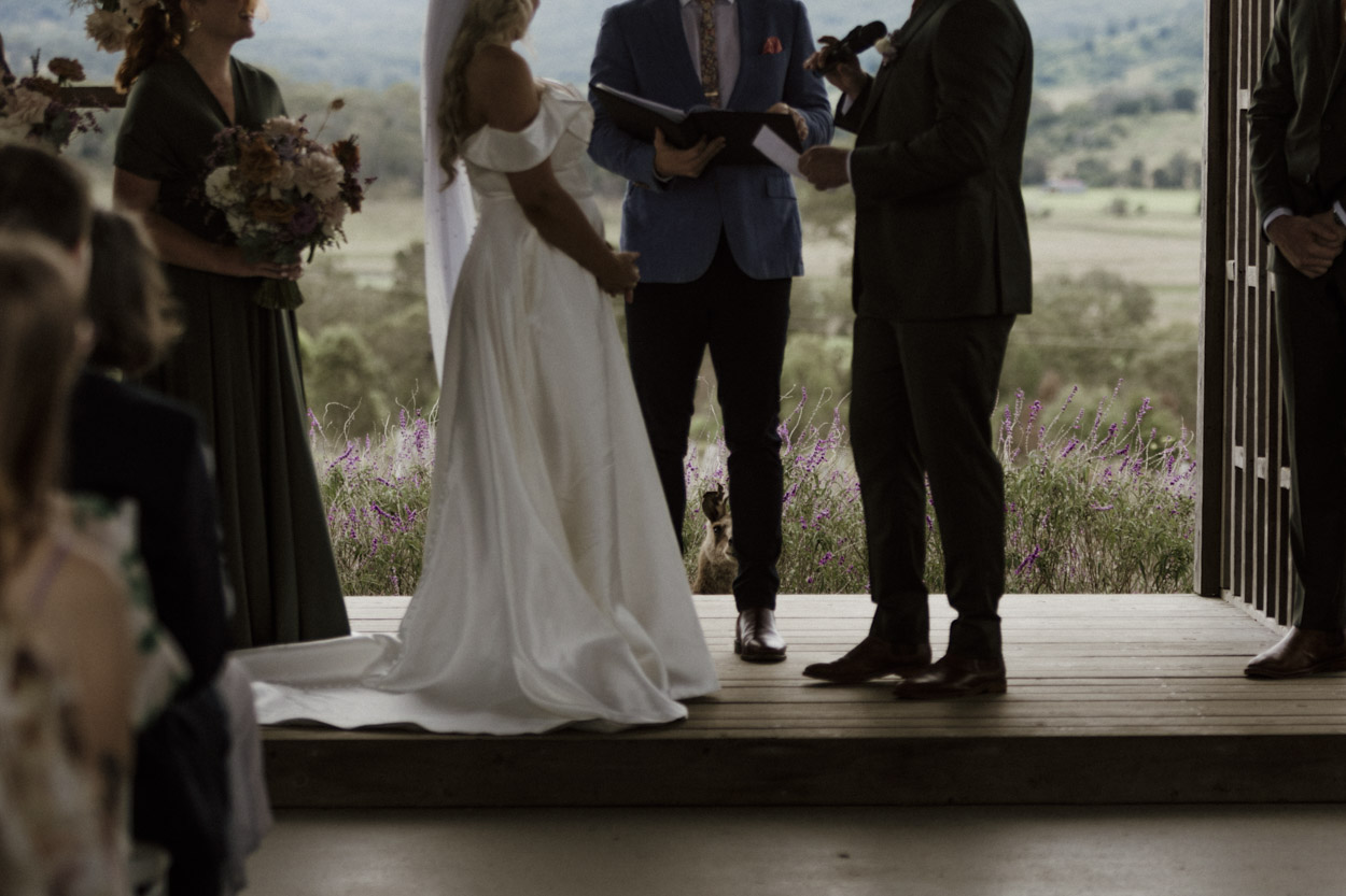 Sage & Stone Photography — photo 13 of 18